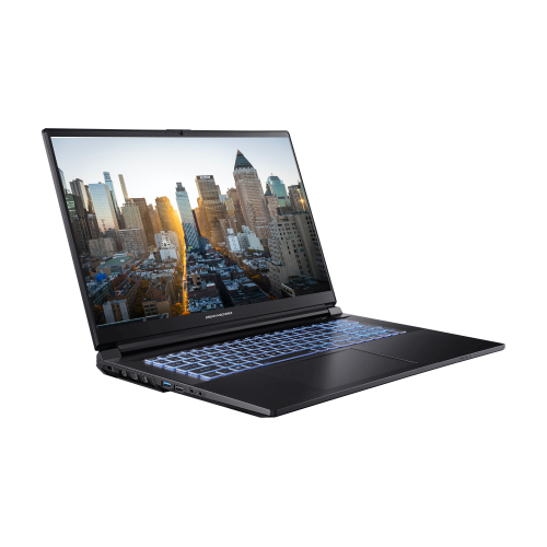 Продати Ноутбук Dream Machines G1650-17 (G1650-17UA96) Black за Trade-In у інтернет-магазині Телемарт - Київ, Дніпро, Україна фото