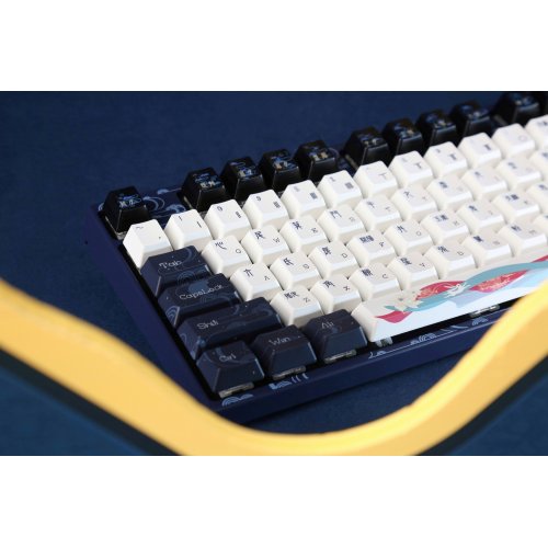 Photo Keyboard Varmilo VPE87 Chang'e White Led K-Prestige Light (A50A054F6A3A01A043) Blue