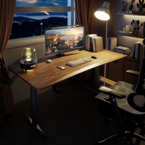 Стол моторизированный 1stPlayer Moto-GT 1675 Black/Brown купить в Украине: Киев, Днепр, Харьков, Одесса  | Низкая цена, отзывы, характеристики от TELEMART фото