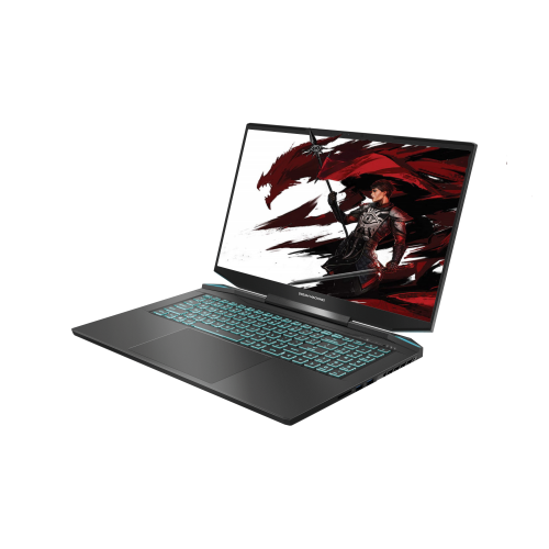 Продать Ноутбук Dream Machines RT4060-17 (RT4060-17UA25) Black по Trade-In интернет-магазине Телемарт - Киев, Днепр, Украина фото