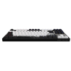 Photo Keyboard Dark Project 87 Ink PBT RGB Mech G3MS Sapphire (DPP87_GSH_INK_ANSI_EN) Black/White