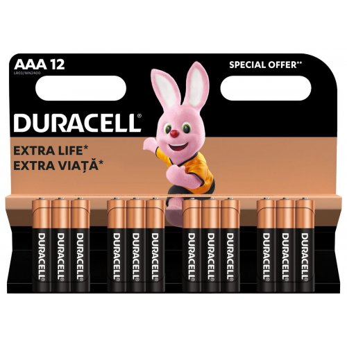 Купить Батарейки Duracell AAA (LR03) MN2400 12 шт. (81545432) - цена в Харькове, Киеве, Днепре, Одессе
в интернет-магазине Telemart фото