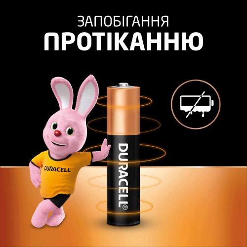 Купить Батарейки Duracell AAA (LR03) MN2400 2 шт. отрывная (плакат 2х6) (81528141) - цена в Харькове, Киеве, Днепре, Одессе
в интернет-магазине Telemart фото