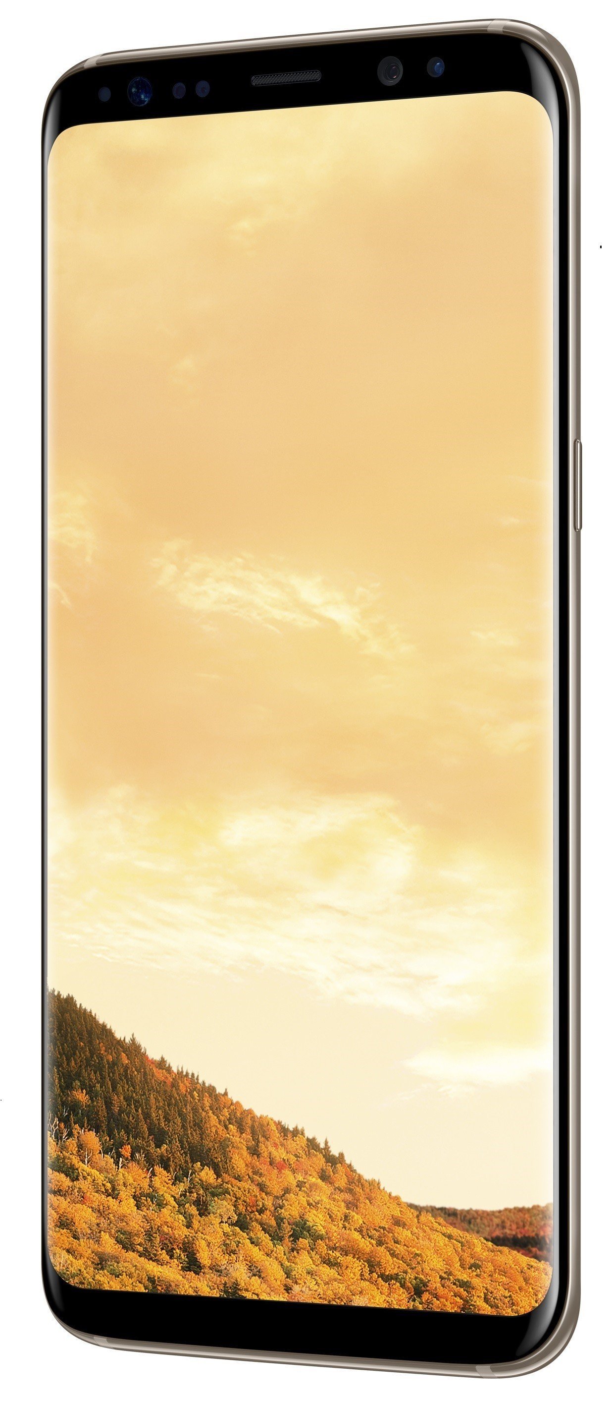 Купить Смартфон Samsung Galaxy S8 SM-G950FD (SM-G950FZDDSEK) Gold - цена в  Харькове, Киеве, Днепре, Одессе в интернет-магазине Telemart