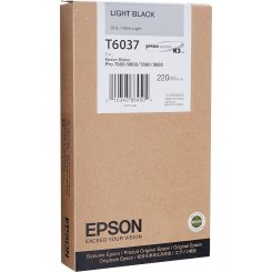 Картридж Epson T603700 (C13T603700) Light Black