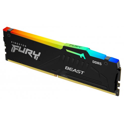 Купить ОЗУ Kingston DDR5 16GB 6000Mhz FURY Beast RGB Black (KF560C30BBEA-16) с проверкой совместимости: обзор, характеристики, цена в Киеве, Днепре, Одессе, Харькове, Украине | интернет-магазин TELEMART.UA фото