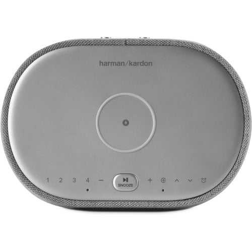 Купити Акустична система Harman/Kardon Citation Oasis FM (HKCITAOASISFMGRYEP) Grey - ціна в Києві, Львові, Вінниці, Хмельницькому, Франківську, Україні | інтернет-магазин TELEMART.UA фото