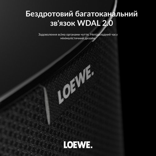 Акустическая система Loewe Klang MR1 (60604D11) Basalt Grey купить в Украине: Киев, Днепр, Харьков, Одесса  | Низкая цена, отзывы, характеристики от TELEMART фото