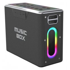 Портативная акустика HiFuture MusicBox 100W (musicbox.black) Black