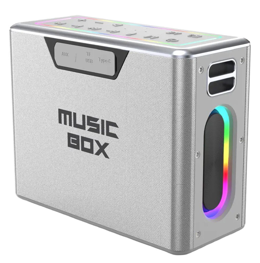 Купить Портативная акустика HiFuture MusicBox 100W (musicbox.silver ...