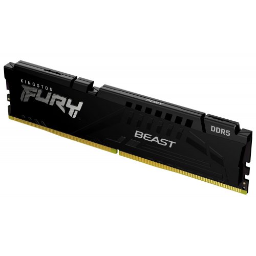 Купить ОЗУ Kingston DDR5 16GB 6400Mhz FURY Beast Black (KF564C32BB-16) (Поврежденная упаковка, 641351) с проверкой совместимости: обзор, характеристики, цена в Киеве, Днепре, Одессе, Харькове, Украине | интернет-магазин TELEMART.UA фото