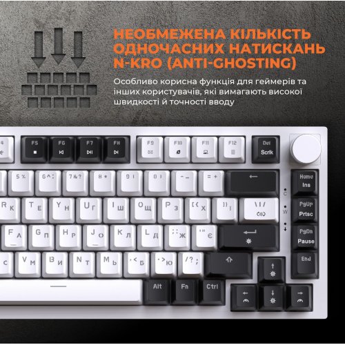 Купити Клавіатура GamePro MK160 Outemu Red Hot-Swap RGB White - ціна в Києві, Львові, Вінниці, Хмельницькому, Франківську, Україні | інтернет-магазин TELEMART.UA фото