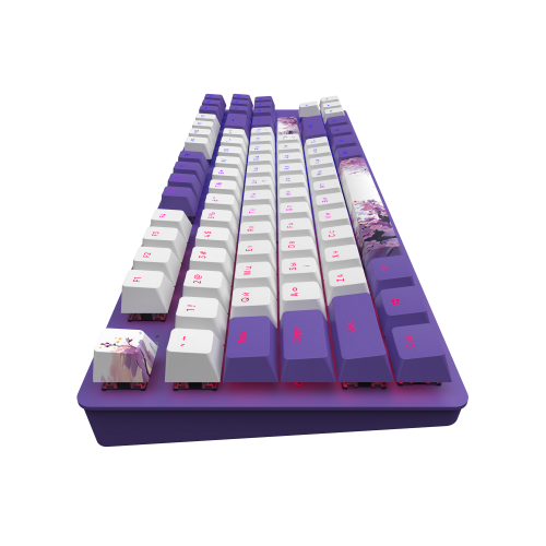 Купити Клавіатура Dark Project One 87 Violet Horizons ABS RGB Mech G3MS Sapphire (DPO87_GSH_DPUP_ANSI_UA) Violet/White - ціна в Києві, Львові, Вінниці, Хмельницькому, Франківську, Україні | інтернет-магазин TELEMART.UA фото