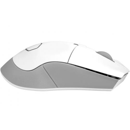 Купить Мышка Cooler Master MM311 Wireless (MM-311-WWOW1) White - цена в Харькове, Киеве, Днепре, Одессе
в интернет-магазине Telemart фото