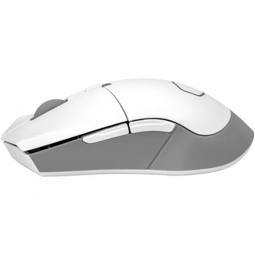 Купить Мышка Cooler Master MM311 Wireless (MM-311-WWOW1) White - цена в Харькове, Киеве, Днепре, Одессе
в интернет-магазине Telemart фото