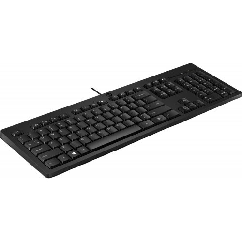 Купити Клавіатура HP 125 USB (266C9AA) Black - ціна в Києві, Львові, Вінниці, Хмельницькому, Франківську, Україні | інтернет-магазин TELEMART.UA фото