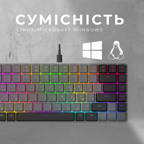 Купити Клавіатура GamePro MK141R RGB Outemu Red Switch Low Profile Dark Gray - ціна в Києві, Львові, Вінниці, Хмельницькому, Франківську, Україні | інтернет-магазин TELEMART.UA фото