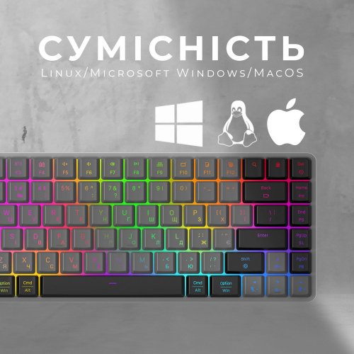 Купити Клавіатура GamePro MK230R RGB Outemu Red Switch Low Profile Wireless Dark Gray - ціна в Києві, Львові, Вінниці, Хмельницькому, Франківську, Україні | інтернет-магазин TELEMART.UA фото