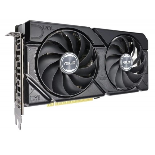 Фото Видеокарта Asus Dual GeForce RTX 4070 EVO OC 12288MB (DUAL-RTX4070-O12GD6-EVO)