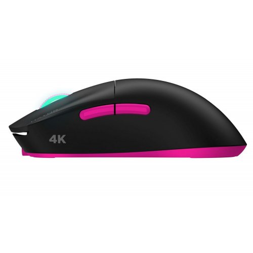 Купить Мышка HATOR Quasar 2 Ultra 4K Wireless (HTM570BP) Black/Pink - цена в Харькове, Киеве, Днепре, Одессе
в интернет-магазине Telemart фото