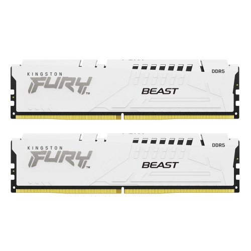 Купить Уценка озу Kingston DDR5 32GB (2x16GB) 6400Mhz FURY Beast White (KF564C32BWEK2-32) (Повреждена упаковка, 681544) с проверкой совместимости: обзор, характеристики, цена в Киеве, Днепре, Одессе, Харькове, Украине | интернет-магазин TELEMART.UA фото