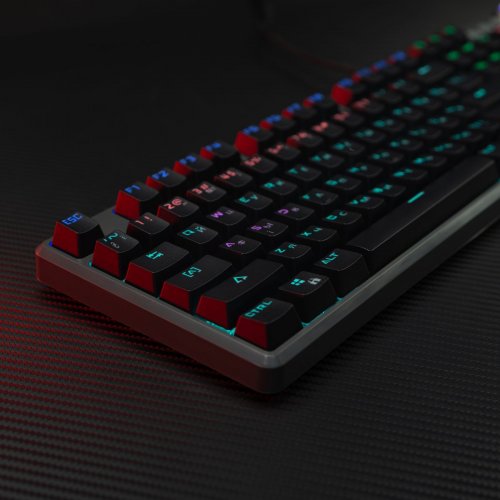 Фото Клавіатура MSI FORGE GK310 Mechanical Red Switches Black