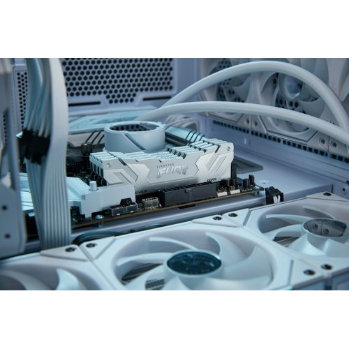 ОЗП Kingston CUDIMM DDR5 24GB 8400Mhz FURY Renegade Silver/White (KF584CU40RW-24) купити з перевіркою сумісності: огляд, характеристики, ціна у Києві, Львові, Вінниці, Хмельницькому, Івано-Франківську, Україні | інтернет-магазин TELEMART.UA фото