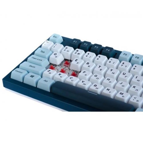 Купити Клавіатура Montech MKey TKL Freedom RGB Mechanical GateronG Pro 2.0 Red Switch (MK87FR) Blue/White - ціна в Києві, Львові, Вінниці, Хмельницькому, Франківську, Україні | інтернет-магазин TELEMART.UA фото