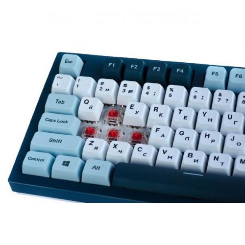 Купити Клавіатура Montech MKey TKL Freedom RGB Mechanical GateronG Pro 2.0 Red Switch (MK87FR) Blue/White - ціна в Києві, Львові, Вінниці, Хмельницькому, Франківську, Україні | інтернет-магазин TELEMART.UA фото