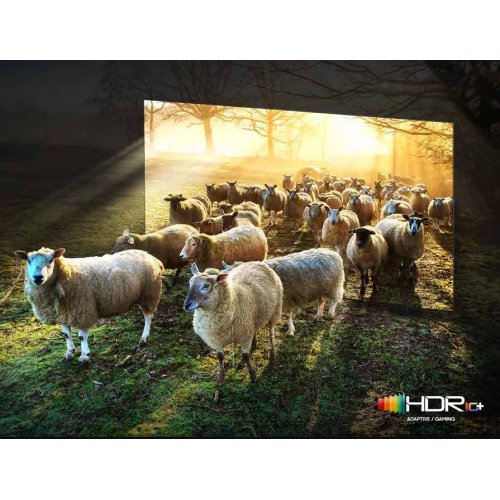 Купити Телевізор Samsung 75'' Neo QLED 8K QN900D (QE75QN900DUXUA) Black - ціна в Києві, Львові, Вінниці, Хмельницькому, Франківську, Україні | інтернет-магазин TELEMART.UA фото