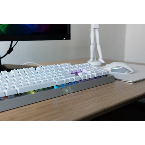 Photo Keyboard Razer BlackWidow X Chroma Mercury Edition (RZ03-01762000-R3M1)