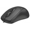 Photo Mouse Trust Ziva Optical (21947) Black