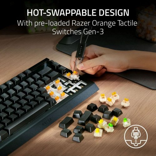 Купити Клавіатура Razer BlackWidow V4 Pro 75% Mechanical Switches Gen-3 Tactile Wireless (RZ03-05130100-R3M1) Black - ціна в Києві, Львові, Вінниці, Хмельницькому, Франківську, Україні | інтернет-магазин TELEMART.UA фото