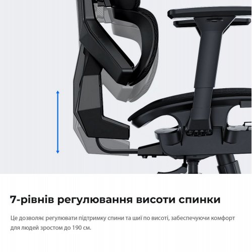 Купити Ігрове крісло Anda Seat X-Air Mega Size XL Mesh (AD-WY-01-GGSP) Gray Twilight - ціна в Києві, Львові, Вінниці, Хмельницькому, Франківську, Україні | інтернет-магазин TELEMART.UA фото