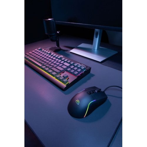 Купить Клавиатура Proove Gaming Everfrost Outemu Red (CKEV00000401) Black - цена в Харькове, Киеве, Днепре, Одессе
в интернет-магазине Telemart фото