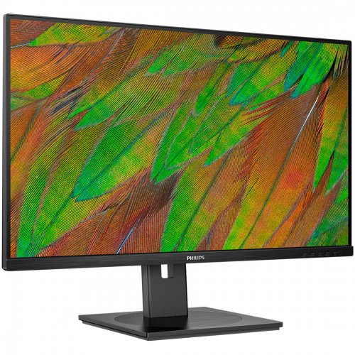 Купити Монітор Philips 31.5" 32B1N3800/00 Black - ціна в Києві, Львові, Вінниці, Хмельницькому, Франківську, Україні | інтернет-магазин TELEMART.UA фото