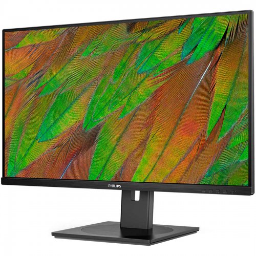 Купити Монітор Philips 31.5" 32B1N3800/00 Black - ціна в Києві, Львові, Вінниці, Хмельницькому, Франківську, Україні | інтернет-магазин TELEMART.UA фото