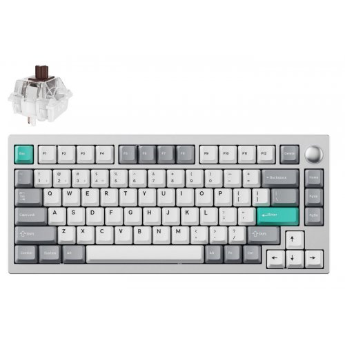 Купить Клавиатура Lemokey P1 Pro 84 Key RGB Hot-Swap Keychron Super Brown (P1P-X3-UA) Space Silver - цена в Харькове, Киеве, Днепре, Одессе
в интернет-магазине Telemart фото