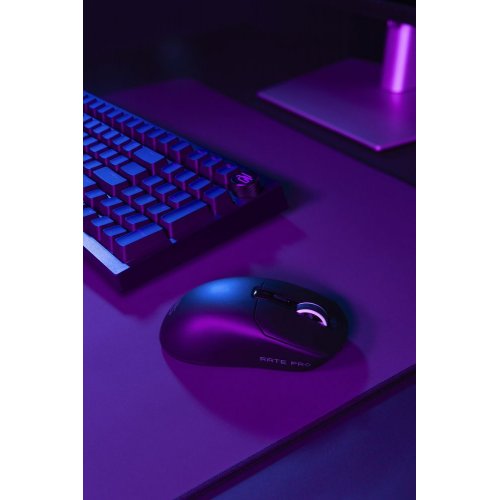 Миша Proove Gaming Rate Pro (WMRP00022001) Black купити в Україні: Київ, Львів, Хмельницький, Тернопіль | Низька ціна, відгуки, характеристики від TELEMART фото