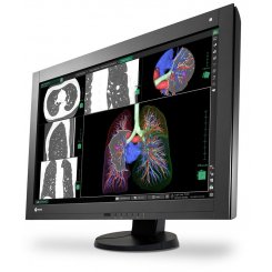 Монітор Eizo RX440 (RX440) Black