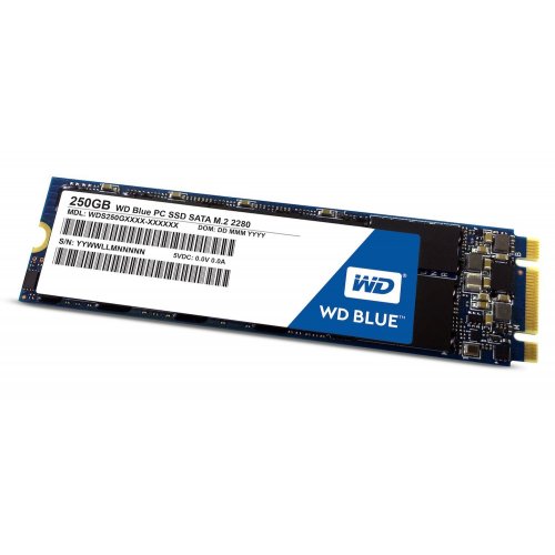 Продати SSD-диск Western Digital Blue TLC 250GB M.2 (2280 SATA) (WDS250G1B0B) за Trade-In у інтернет-магазині Телемарт - Київ, Дніпро, Україна фото
