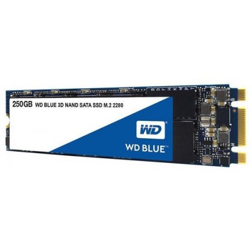 Продати SSD-диск Western Digital Blue 3D NAND TLC 250GB M.2 (2280 SATA) (WDS250G2B0B) за Trade-In у інтернет-магазині Телемарт - Київ, Дніпро, Україна фото