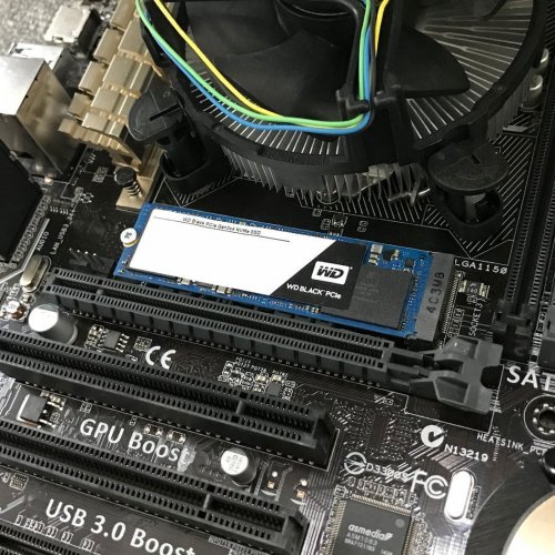 Продати SSD-диск Western Digital Black TLC 256GB M.2 (2280 PCI-E) NVMe x4 (WDS256G1X0C) за Trade-In у інтернет-магазині Телемарт - Київ, Дніпро, Україна фото