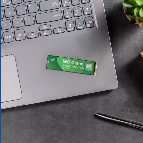 SSD-диск Western Digital Green SN3000 3D NAND QLC 1TB (2280 PCI-E) NVMe x4 (WDS100T4G0E-00CPS0) купити з перевіркою сумісності: огляд, характеристики, ціна у Києві, Львові, Вінниці, Хмельницькому, Івано-Франківську, Україні | інтернет-магазин TELEMART.UA фото