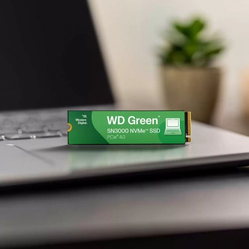 SSD-диск Western Digital Green SN3000 3D NAND QLC 1TB (2280 PCI-E) NVMe x4 (WDS100T4G0E-00CPS0) купити з перевіркою сумісності: огляд, характеристики, ціна у Києві, Львові, Вінниці, Хмельницькому, Івано-Франківську, Україні | інтернет-магазин TELEMART.UA фото