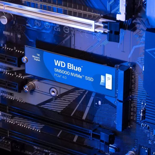 Купить SSD-диск Western Digital Blue SN5000 3D NAND TLC 1TB (2280 PCI-E) NVMe x4 (WDS100T4B0E-00CNZ0) с проверкой совместимости: обзор, характеристики, цена в Киеве, Днепре, Одессе, Харькове, Украине | интернет-магазин TELEMART.UA фото