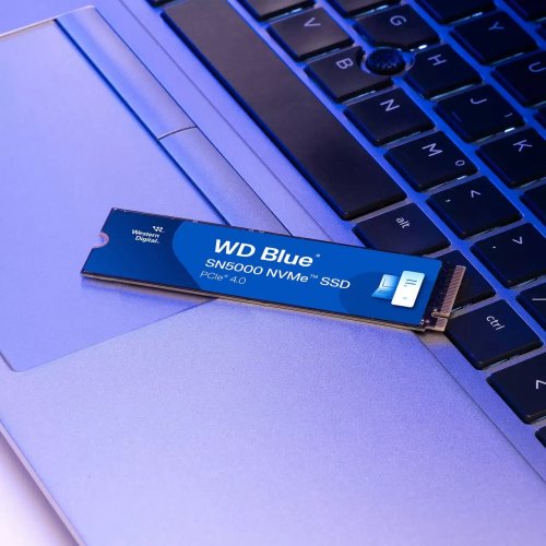 Купить SSD-диск Western Digital Blue SN5000 3D NAND TLC 1TB (2280 PCI-E) NVMe x4 (WDS100T4B0E-00CNZ0) с проверкой совместимости: обзор, характеристики, цена в Киеве, Днепре, Одессе, Харькове, Украине | интернет-магазин TELEMART.UA фото