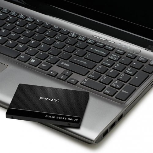 Продать SSD-диск PNY CS900 TLC 120GB 2.5" (SSD7CS900-120-PB) по Trade-In интернет-магазине Телемарт - Киев, Днепр, Украина фото