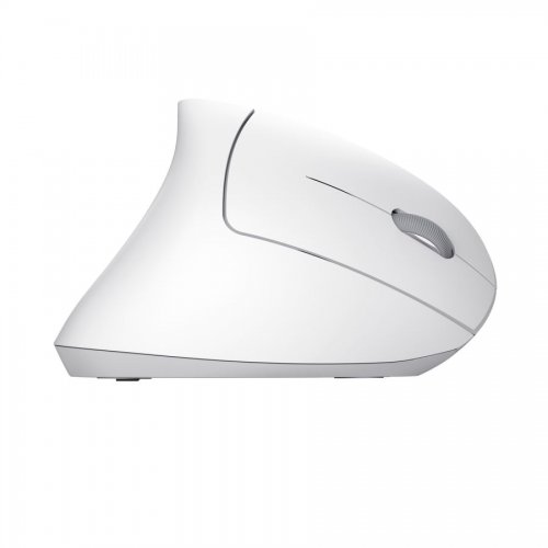 Миша Trust Verto Ergonomic Wireless (25132) White купити в Україні: Київ, Львів, Хмельницький, Тернопіль | Низька ціна, відгуки, характеристики від TELEMART фото