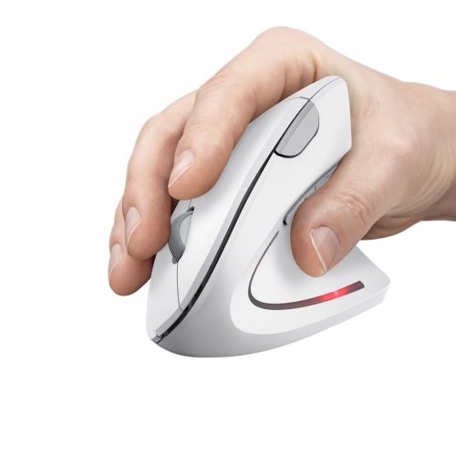 Миша Trust Verto Ergonomic Wireless (25132) White купити в Україні: Київ, Львів, Хмельницький, Тернопіль | Низька ціна, відгуки, характеристики від TELEMART фото
